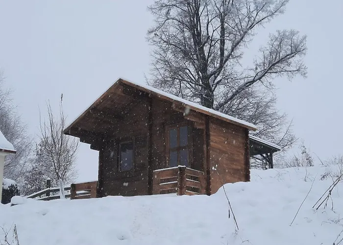 Bara * Božanov
